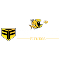 Fishback Fitness: Lifestyle Coaching